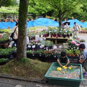 くずはにある市民の森 鏡伝池「緑化フェア」開催！