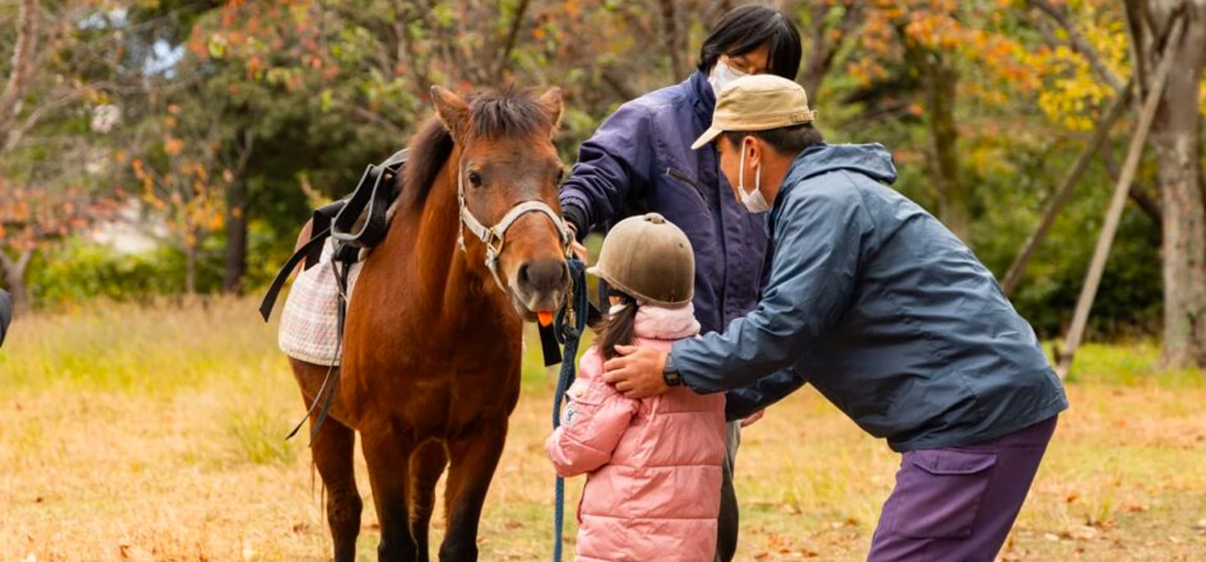 王仁公園でLet’s 乗馬体験わにジョバ