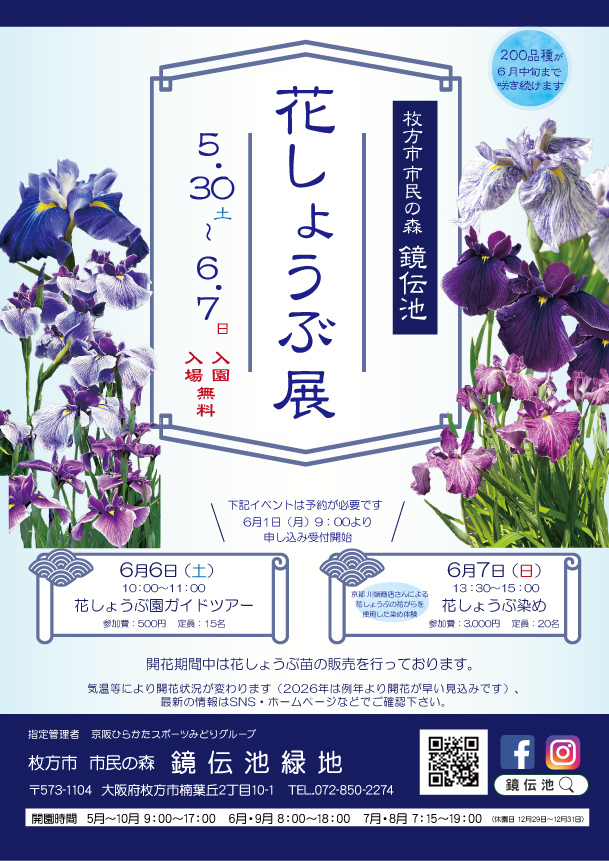 市民の森 鏡伝池にて、5/30(土)〜6/7(日)まで『花菖蒲展』開催！ガイド